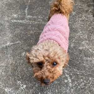 Meet your Posher, Yi-ching